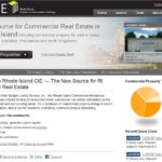 ON THE LIST: A screenshot of the Rhode Island Commercial Information Exchange, or RICIE. The website went live in June. / COURTESY RICIE