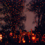 CREATING A FOLLOWING: An image from the Roger Williams Park Zoo Jack O’Lantern Spectacular Trail taken last fall is the zoo’s most popular Facebook post to date. Companies and marketers are utilizing “viral” social media to help draw visitors. / COURTESY ROGER WILLIAMS PARK ZOO