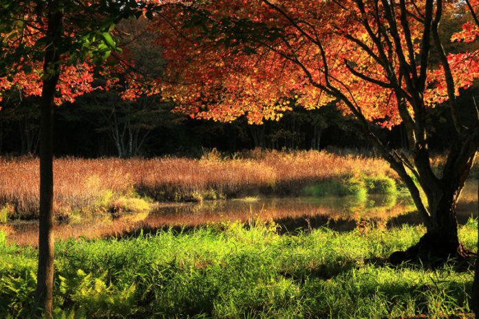 PRETTY AS A PICTURE: While Rhode Island does not have a travel-industry reputation for vibrant fall foliage, this photo of Nonquit Pond in Tiverton from last October shows it has autumn beauty to match New England neighbors. / PBN PHOTO/BUTCH LOMBARDI