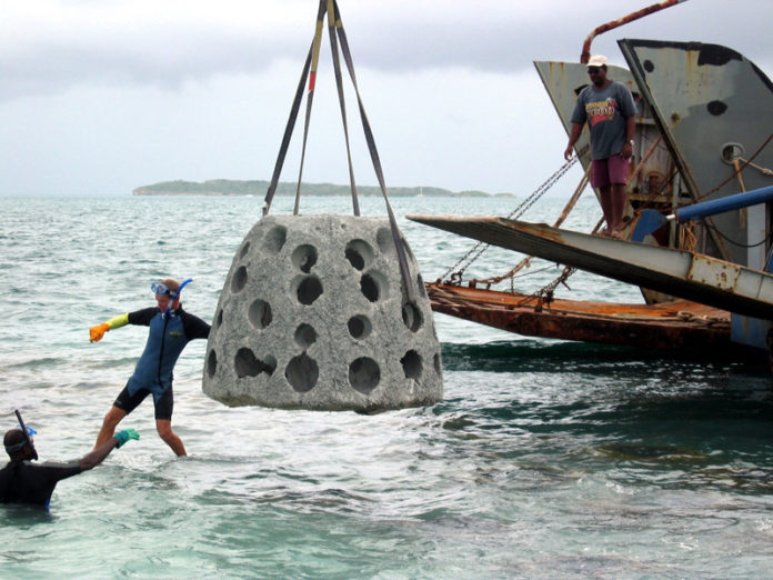 FIRST OF ITS KIND: A $750,000 project could bring artificial reef modules, similar to the one shown above, near Antigua, to Narragansett Bay as soon as next spring. / COURTESY REEF BALL FOUNDATION