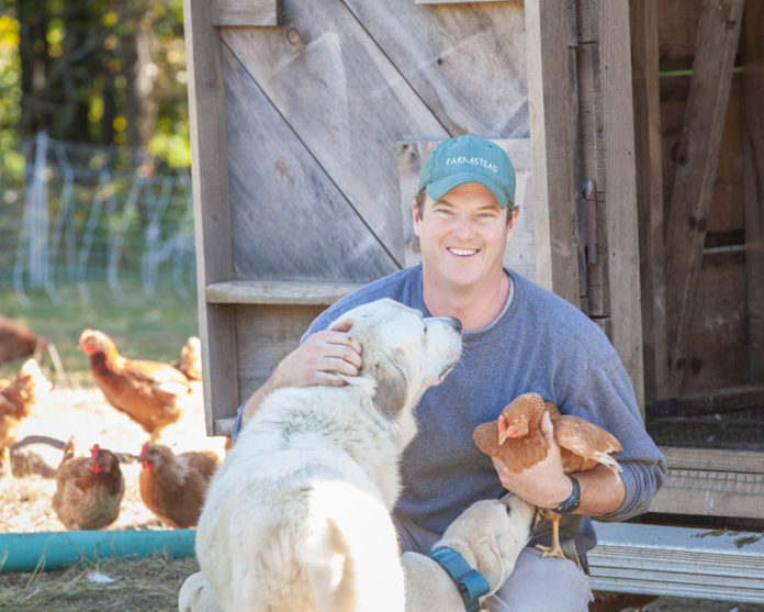 LIVE STOCK: Patrick McNiff, owner of Pat’s Pastured, first began raising chickens and pigs as a hobby while working at Casey Farm. But when they began selling, he decided there was enough demand to quit working for a paycheck and start out on his own. / PBN PHOTO/TRACY JENKINS