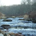 River-herring restoration booming RUNNING DEEP: The upper Pawcatuck River in Richmond and Charlestown has seen, over the last three years, the removal of two dams and the installation of a fish ladder. / PBN PHOTO/JOHN LEE