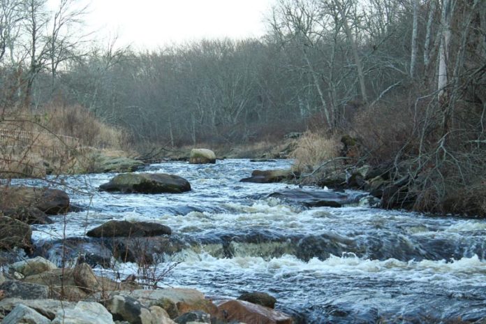 RUNNING DEEP: The upper Pawcatuck River in Richmond and Charlestown has seen, over the last three years, the removal of two dams and the installation of a fish ladder. / PBN PHOTO/JOHN LEE