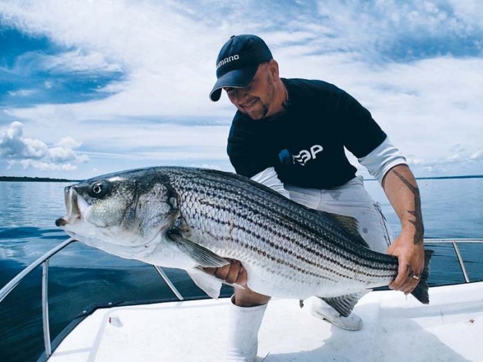 HOOKED IN: Capt. Jack Sprengel of East Coast Charters has organized a series of sport-fishing seminars for a wide range of anglers, from newbies to veterans. / COURTESY PROVIDENCE BOAT SHOW