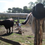COSTUMED INTERPRETERS show visitors to Coggeshall Farm Museum what life was like in a pre-industrial era. A new barn will enable the Farm to do educational outreach to school groups on a year-round basis, despite weather conditions. / COURTESY COGGESHALL FARM MUSEUM