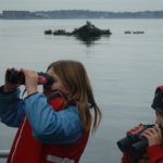 Ecotourism part of bay conservation SEAL OF AUTHENTICITY: Children aboard the motor vessel Alletta Morris in March 2013 observe harbor seals resting on rocks in Newport Harbor during a seal watch tour by Save The Bay. / COURTESY SAVE THE BAY