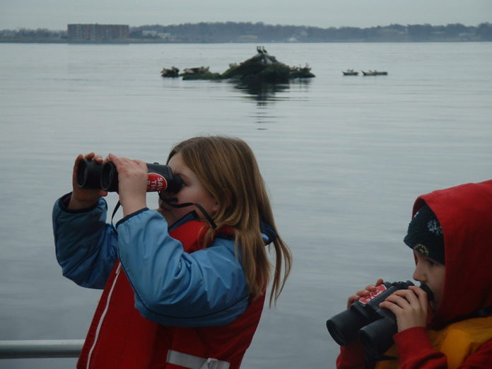 SEAL OF AUTHENTICITY: Children aboard the motor vessel Alletta Morris in March 2013 observe harbor seals resting on rocks in Newport Harbor during a seal watch tour by Save The Bay. / COURTESY SAVE THE BAY