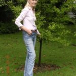 "Truly unusual specimen tree varieties cannot be directly sourced from large professional nurseries."