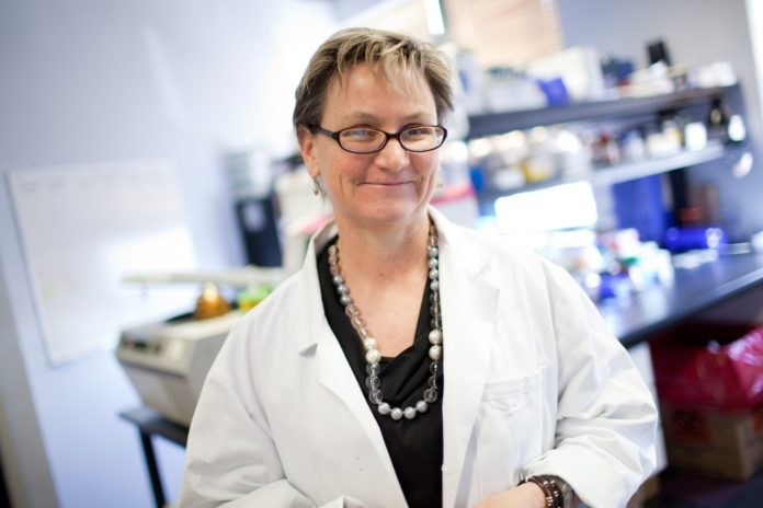 USING EBOLA epitopes, De Groot has demonstrated an immune response in a mouse. While that initial study was limited in scope, she said she is confident she could produce an effective vaccine if her studies were expanded to additional Ebola antigens. / PBN FILE PHOTO/RUPERT WHITELEY