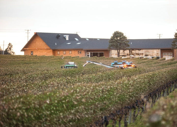 FRUITFUL LABOR: Newport Vineyards is wrapping up expansion of its facility on East Main Road in Middletown. A new wine shop and tasting room are being unveiled. / COURTESY NEWPORT VINEYARDS