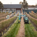 OFF THE VINE: Newport Vineyards is expanding, doubling its space with a new building, shown above at left in a fall 2013 photo. / COURTESY NEWPORT VINEYARDS