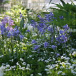 URI botanical gardens among 50 ‘most stunning’ in online report THE UNIVERSITY OF RHODE ISLAND'S botanical gardens earned a mention in a listing of the 50 most stunning university gardens and arboretums in the world by Best Masters Programs. / COURTESY BEST MASTERS PROGRAMS