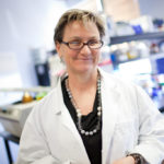 Five Questions With: Dr. Anne De Groot "I think that Dr. Fine and the R.I. Department of Health team are doing a great job of getting people informed." / PBN FILE PHOTO/RUPERT WHITELEY