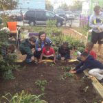 BROWN UNIVERSITY undergraduate Mara Quinn, center, works with teachers and students in an outdoor garden at Fortes Elementary School in Providence. / COURTESY BROWN UNIVERSITY