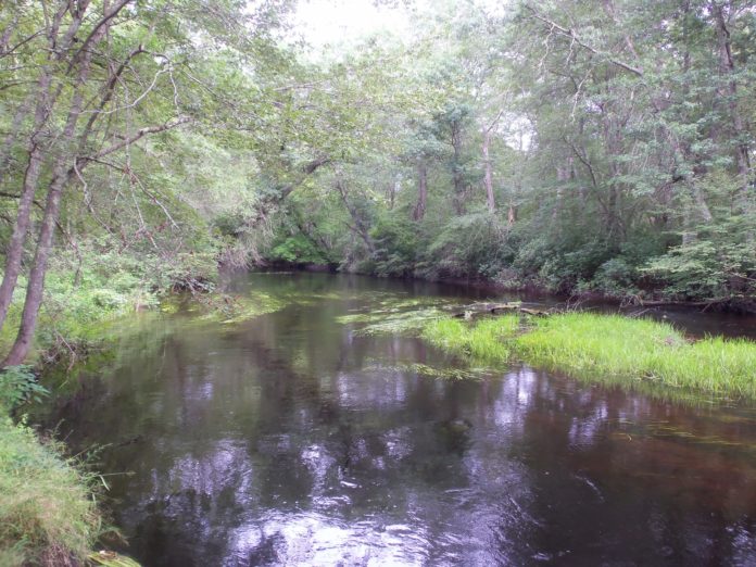 THE NATURE CONSERVANCY SAID 271 acres of forestland along the Pawcatuck River in Charlestown and Richmond have been permanently protected. / COURTESY THE NATURE CONSERVANCY