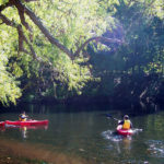 STREAM OF THOUGHT: Visitors canoe along the Blackstone River in Cumberland in 2013. The Blackstone Valley Tourism Council is one of six districts in the state eager to add statewide branding, as proposed by the governor, to its regional messaging. / COURTESY BLACKSTONE VALLEY TOURISM COUNCIL