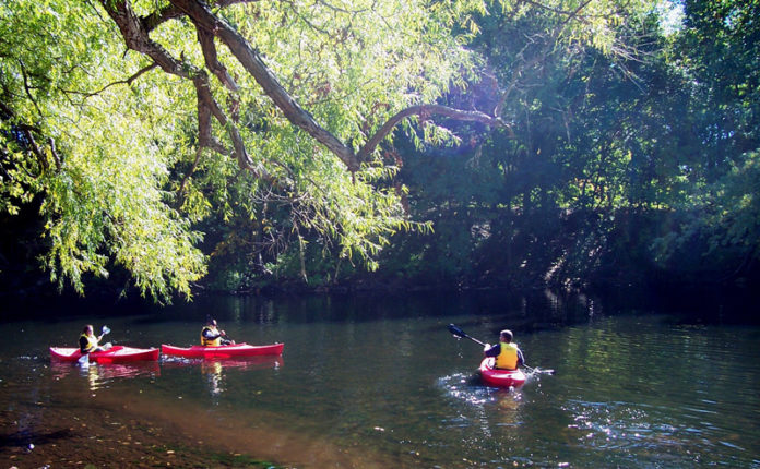 STREAM OF THOUGHT: Visitors canoe along the Blackstone River in Cumberland in 2013. The Blackstone Valley Tourism Council is one of six districts in the state eager to add statewide branding, as proposed by the governor, to its regional messaging. / COURTESY BLACKSTONE VALLEY TOURISM COUNCIL