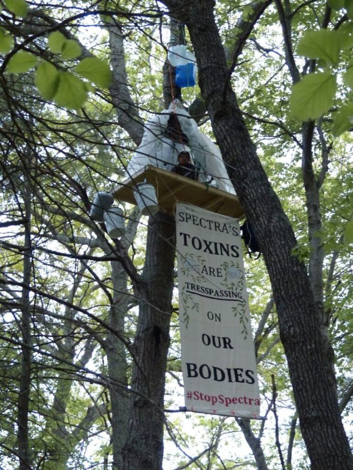 SHERRI ANNE Andre is sitting on a platform between trees near the Spectra Energy gas compressor station in Burrillville to protest the company's expansion of the station. / COURTESY NICKY KATKEVICH