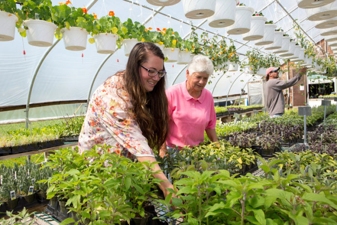 GROWING SEASON: Maplewood Farms owner Judith Carvalho says her goal is to run the farm and keep it as open space. Pictured above, from left, are employee Courtney David, Carvalho and manager Joshua Anderson. / PBN PHOTO/KATE WHITNEY LUCEY
