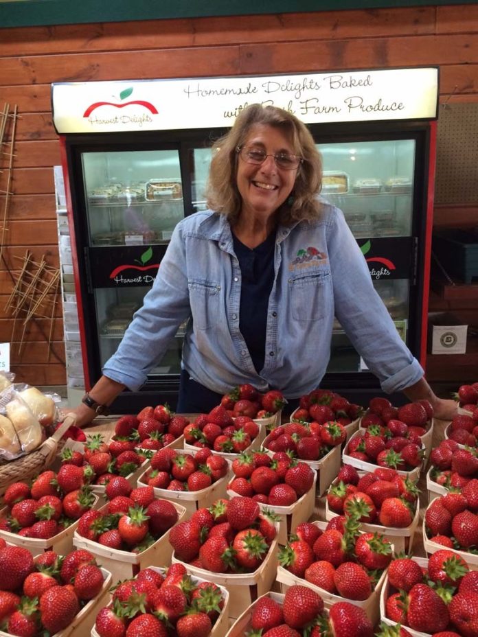 FRESH PRODUCE: Four Town Farm's Lois D'Ambra shows off freshly picked strawberries. The farm's strawberry season usually begins the first of June and runs through August. / COURTESY FOUR TOWN FARM