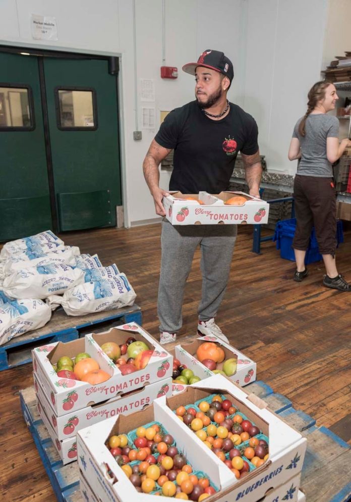 FRESH IDEAS: Alex Mendonca loads heirloom tomatoes at Farm Fresh Rhode Island. / PBN PHOTO/MICHAEL SALERNO