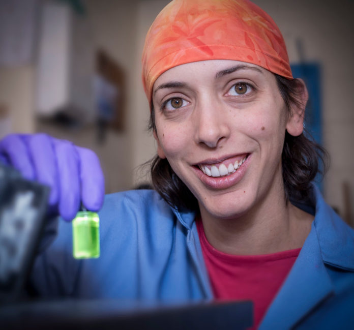 MINDY LEVINE, an assistant chemistry professor at the University of Rhode Island, has won a Rising Star Award from the American Chemical Society. / COURTESY UNIVERSITY OF RHODE ISLAND