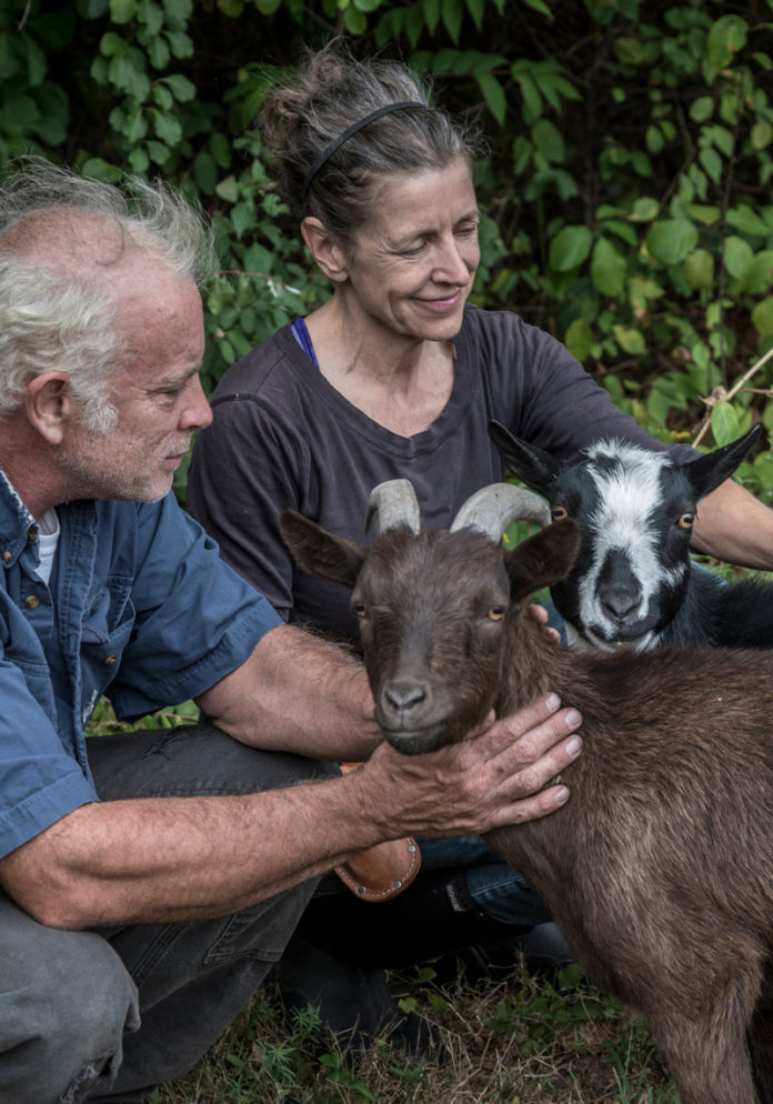 NATURALLY FUELED: Drake Patten and her husband, Wright Deter, of Hurricane Hill, use goats to help clear land. / PBN PHOTO/MICHAEL SALERNO