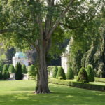 AN INTERNATIONAL body that accredits arboretums has recognized the 88 landscapes cared for by the Preservation Society of Newport County as an official arboretum. Pictured are trees surrounding the sunken garden at The Elms. / COURTESY THE PRESERVATION SOCIETY OF NEWPORT COUNTY