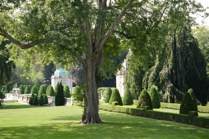 AN INTERNATIONAL body that accredits arboretums has recognized the 88 landscapes cared for by the Preservation Society of Newport County as an official arboretum. Pictured are trees surrounding the sunken garden at The Elms. / COURTESY THE PRESERVATION SOCIETY OF NEWPORT COUNTY