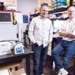 MUCH MORE THAN A LAB: Computational tools along with pioneering lab work have helped EpiVax thrive in an often difficult funding environment and made the work of Clifford Grimm, left, managing director, and William Martin, chief operating and chief information officer, challenging and rewarding. / PBN PHOTO/RUPERT WHITELEY
