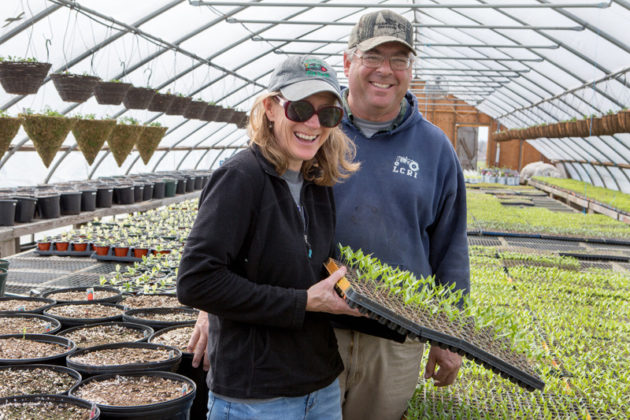 SMART GROWTH: Karla and Tyler P. Young show off some of the plants in the greenhouse on their Little Compton farm. / PBN PHOTO/KATE WHITNEY LUCEY