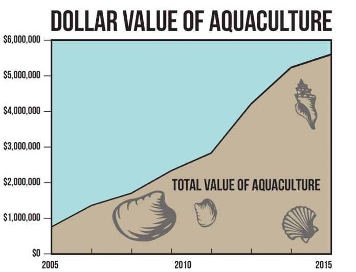 The shellfish figures presented in this report are comprehensive representations. The dominant species in the R.I. aquaculture industry continues to be the Eastern oyster, with 7,547,132 pieces sold in 2015, which is an 18 percent increase from 2013. Hard clam production was a distant second with 47,325 pieces sold. Blue mussel production increased to a harvest of 15,827 pounds. The number of farms active in Rhode Island aquaculture at the end of 2015 was 61, with cultivation of 241.38 acres. / source: 2015 Aquaculture in Rhode Island