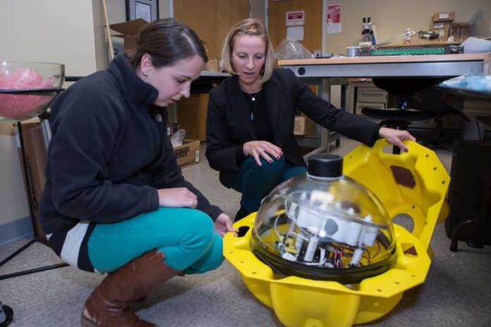 NAVY TECH: MIKEL President Kelly Mendell, right, looks at a beacon in the prototype lab with software engineer Kayla Gandolfi. The company recently announced a  $23 million U.S. Navy contract for developing  advanced sonar and sensors technology. / PBN PHOTO/KATE WHITNEY LUCEY