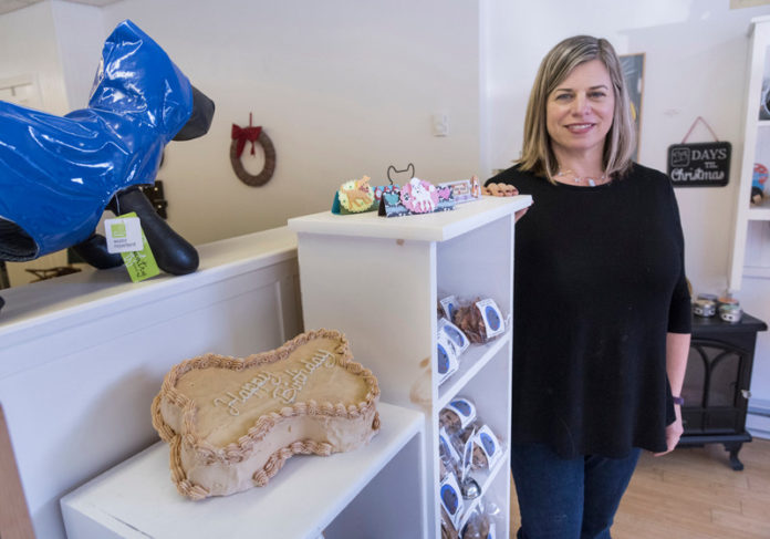 CANINE TREATS: Owner Marni MacLean-Karro makes and decorates cakes and other treats for dogs at Jack's Snacks, A Dog Bakery, which she established 12 years ago in Warwick. / PBN PHOTO/MICHAEL SALERNO