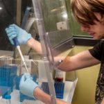 THE UNIVERSITY OF MASSACHUSETTS Dartmouth's new doctoral program in integrative biology aims to help grow the life sciences workforce in southern Massachusetts. Several students are expected to start the program this fall. / COURTESY UMASS DARTMOUTH