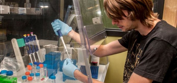 THE UNIVERSITY OF MASSACHUSETTS Dartmouth's new doctoral program in integrative biology aims to help grow the life sciences workforce in southern Massachusetts. Several students are expected to start the program this fall. / COURTESY UMASS DARTMOUTH