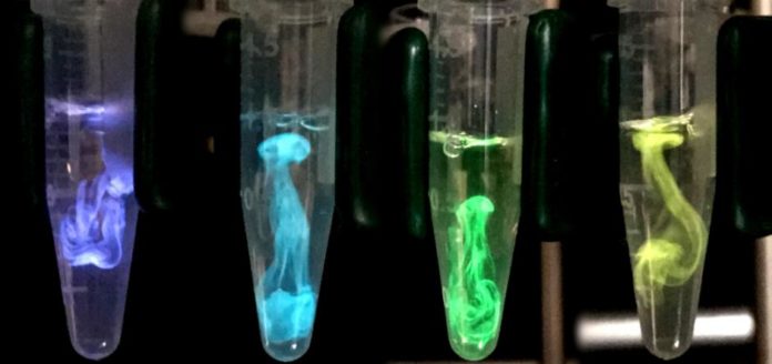 BROWN UNIVERSITY RECEIVED $9.2 million to create tools for bioluminescence and optogenetics research.