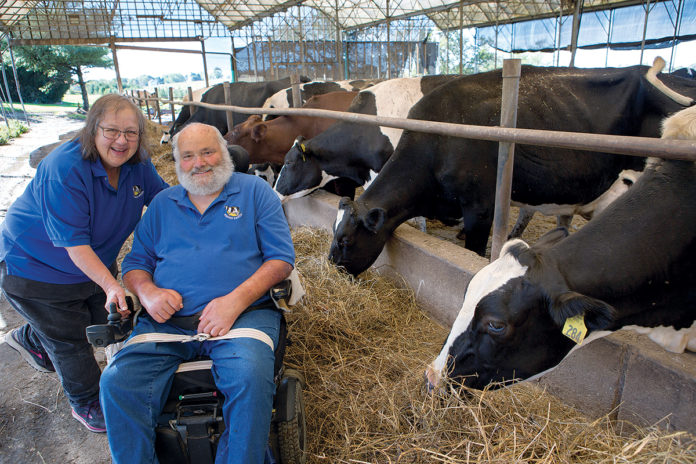 GOT MILK? Louis and Jane Escobar with some of the 185 cows on their Portsmouth farm. Escobar Farm is one of nine remaining dairy farms in the state. / PBN PHOTO/ KATE WHITNEY LUCEY GOT MILK? Louis and Jane Escobar with some of the 185 cows on their Portsmouth farm. Escobar Farm is one of nine remaining dairy farms in the state. / PBN PHOTO/ KATE WHITNEY LUCEY