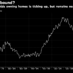 THE MARKET HAS SEEN an uptick in Millennial-owned homes, but U.S. home-ownership rates are still near record lows. / BLOOMBERG