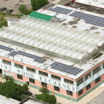 The flagship urban greenhouse of Gotham Greens was built in 2011 in Brooklyn, atop the Greenpoint Wood Exchange building./COURTESY GOTHAM GREENS HOLDINGS.