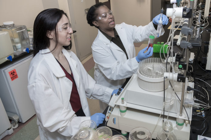 UNIVERSITY OF RHODE ISLAND seniors Rebecca Ralston, left, and Lindsey Chammas conduct an experiment in the biotechnology manufacturing lab at URI's Providence campus. / COURTESY UNIVERSITY OF RHODE ISLAND/MICHAEL SALERNO UNIVERSITY OF RHODE ISLAND seniors Rebecca Ralston, left, and Lindsey Chammas conduct an experiment in the biotechnology manufacturing lab at URI's Providence campus. / COURTESY UNIVERSITY OF RHODE ISLAND/MICHAEL SALERNO