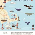 THE MASSACHUSETTS OFFICE OF TRAVEL and Tourism announced the launch of the Massachusetts Whale Trail, a tourism-destination collaboration that connects and promotes whale-related activities, destinations and businesses in the Bay State. / COURTESY MASSACHUSETTS OFFICE OF TRAVEL AND TOURISM