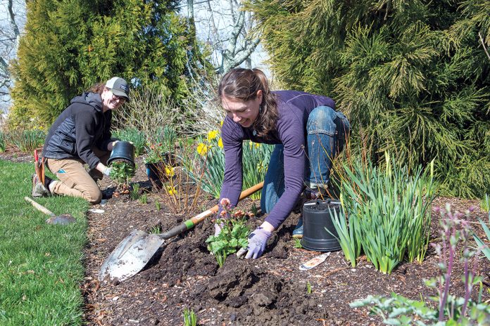 SKILLS BUILDER: Suzannah MacDonald, left, a fine gardener at Wild & Scenic in South Kingstown, jumped at the chance to participate in the Rhode Island Nursery and Landscape Association’s apprenticeship program to hone her skills. MacDonald is working with Wild & Scenic owner Meg Gallagher. / PBN PHOTO/KATE WHITNEY LUCEY SKILLS BUILDER: Suzannah MacDonald, left, a fine gardener at Wild & Scenic in South Kingstown, jumped at the chance to participate in the Rhode Island Nursery and Landscape Association’s apprenticeship program to hone her skills. MacDonald is working with Wild & Scenic owner Meg Gallagher. / PBN PHOTO/KATE WHITNEY LUCEY