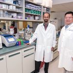 DISCOVERY: Life­span researchers Chathuraka T. Jayasuriya, left, and Qian Chen, both of Rhode Island Hospital and the Warren Alpert Medical School of Brown University, have discovered aberrant stem cells that may play a role in osteoarthritis. / PBN PHOTO/ MICHAEL SALERNO