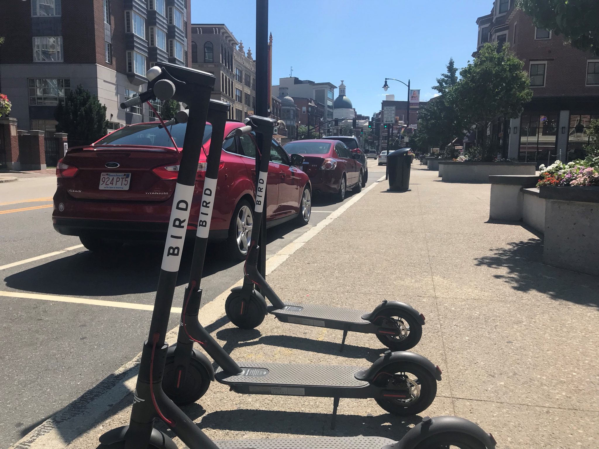 Image result for bird scooter providence