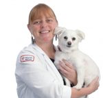 the prop: “Stella is almost 2,” said Dr. Rebecca Reece. “She’s like a cat. She sits up on the couch and looks out the second-floor window.” / PBN PHOTO/MIKE SKORSKI