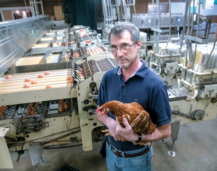 CAGED FEELING: Little Rhody Foods owner Eli Berkowitz says he feels targeted by a new state law that beginning in 2026 will require farms to upgrade their egg-laying chicken cages to allow the birds to move more freely. He operates the only commercial chicken farm that encloses its chickens in cages in the state.  / PBN PHOTO/MICHAEL SALERNO