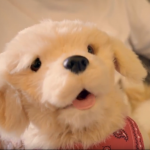 Visiting Angels to surprise elderly with robot dogs during National Dog Week