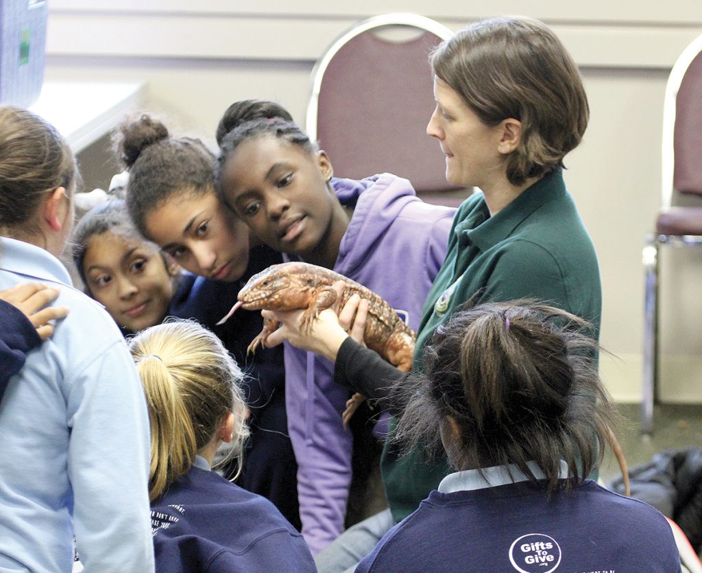 UP CLOSE: Curator of Education Carrie Hawthorne provides an up-close look at Rosie, a red tegu, as she introduces her to a group of children visiting the Buttonwood Park Zoo in New Bedford.  / COURTESY BUTTONWOOD PARK ZOO