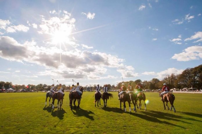 Newport Polo